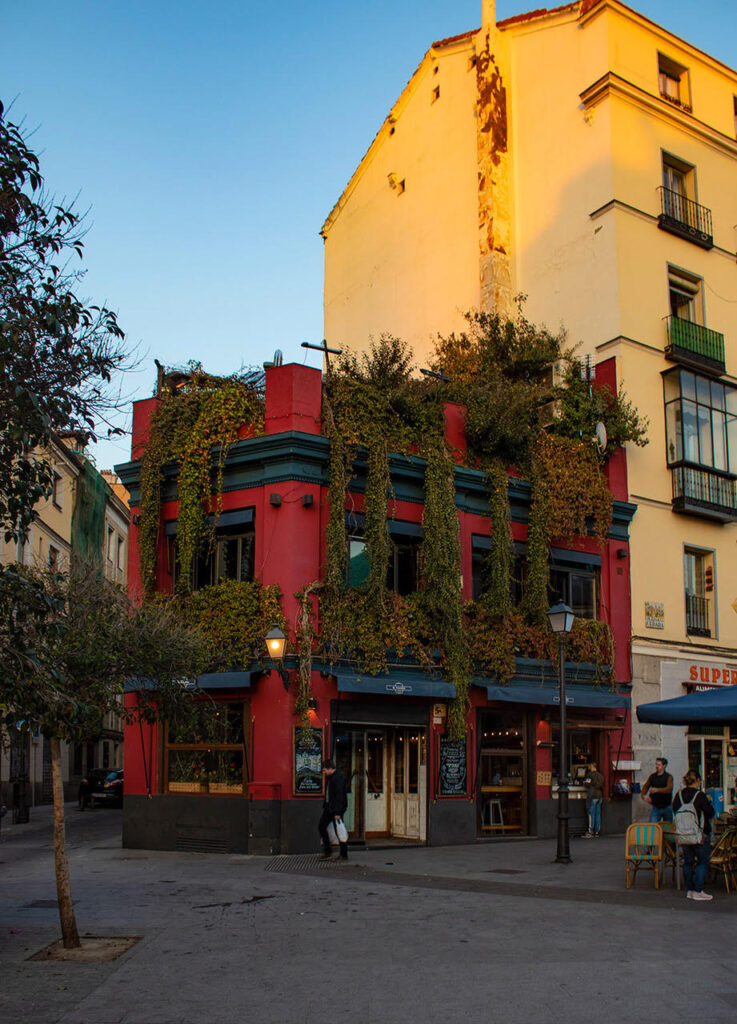 Terraza del Viajero