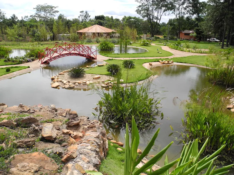 Jardim Botânico De Brasília