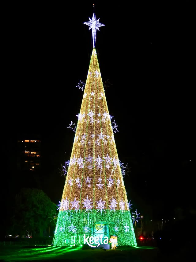 Ibirapuera Christmas Tree